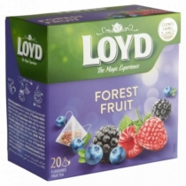 Loyd Piramid Tea Forest Fruit 20*2G