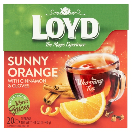 Loyd Hot Tea Narancs Fahéj 20*2G